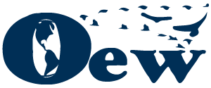 OEW Logo